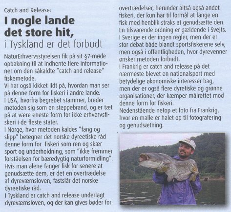 - Tankevækkende eller måske skræmmende? - vælg selv