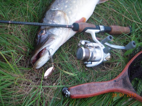 - Den kobberfarvede 7'er Attack fristede denne strømgedde over evne