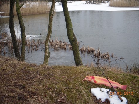 - Kærshovedgård i plusgrader (arkivfoto, ULFISK.com)