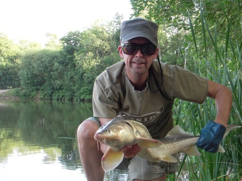 - En hårdt fightende meters-stør måtte lige agere model