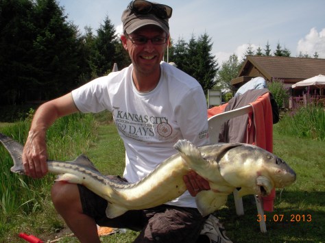 - Diamantstør, 117,0cm/8000gram, Holland. - Og kan nemt kontaktes i Midt og Vestjylland.