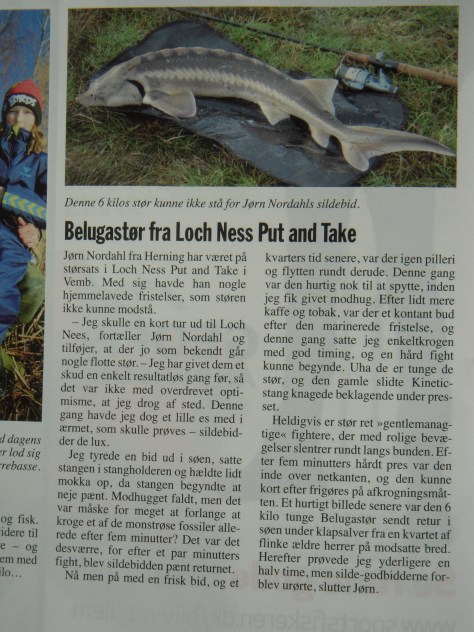 - Utroligt hvad der kan komme ud af en fangstrapport...