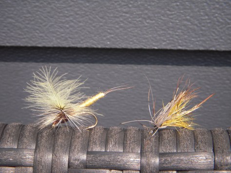 - Den smukke gule Flou Danica og den forhutlede French Partridge. Begge gav fisk.