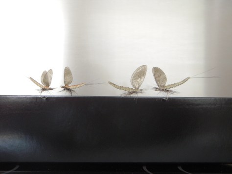 - Super autentiske Danica'er bundet med skumkroppe