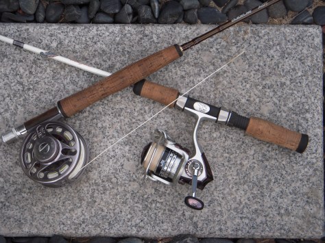 - De to fjervægts-kompettanter hilser på hinanden... Fluepinden fik "røv"...