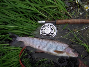 - Fisken forbliver våd