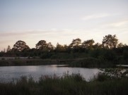 - Bornholmsk Stør-sø