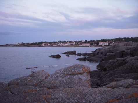- Den lille Wild-Wing kom på nye eventyr mellem nordkystens klipper