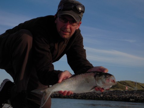 - Der er chancer for masser af UL-action ved molerne på Vestkysten!