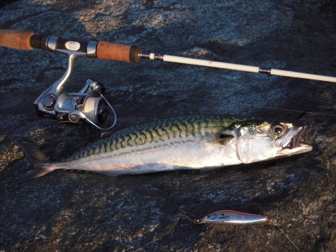 - Så kiggede mkrel-fiske-guden endelig med milde øjne på denne UL-fisker