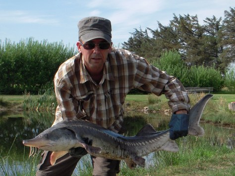 - Her var lige et billede mere af min til dato største fisk....