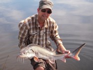 - Blind høne finder også korn - eller hvad det nu er det hedder...