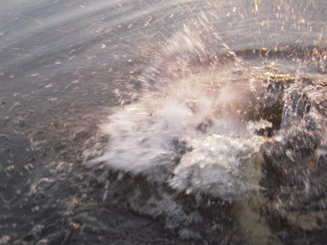 - Poppertake fra en tidligere tur (arkivfoto, ULFISK.com)