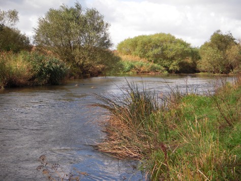 - Det spændende favoritspot hvor der altid er garanti for action.