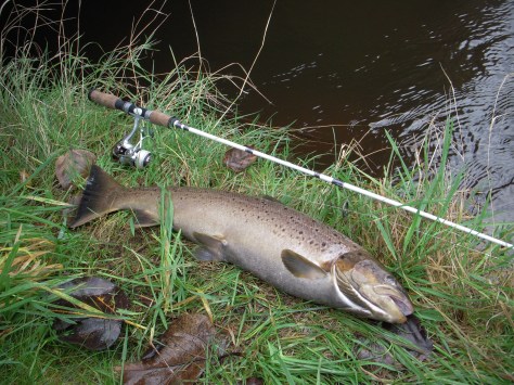 - Lækker oktober-dame som gerne ville danse lidt :-)