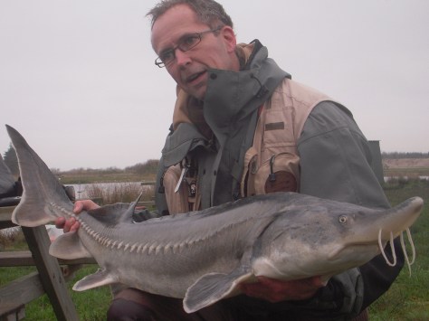 - Den 140 centimeter lange vandlevende part tog sig bedre ud på billedet end den landlevende...
