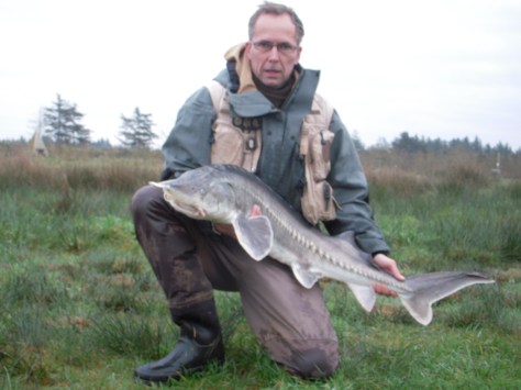- Yeps! - Så kom man da lige op på 12 kilo og 135 cm på "stor-fisk-barometret".... Herligt!