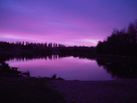 - Munkbro In The Morning (Arkivfoto, ULFISK.com)