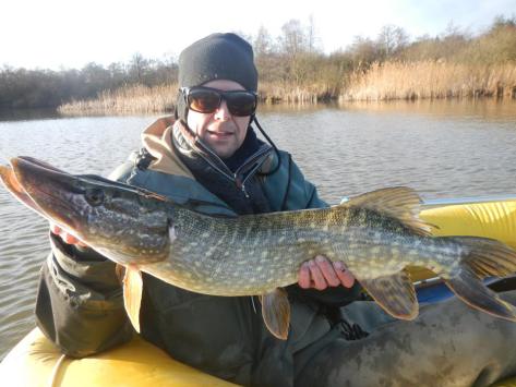 - Endnu en gedde med hang til Stripper. Denne gang anslået 5,5 kilo