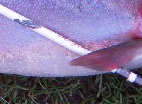 - Wild Wing'ens hvide klinge får lige et kærligt kram :-)