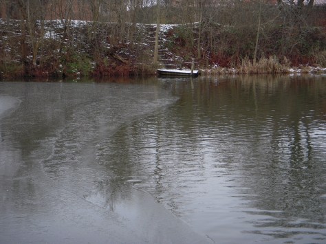 - Fifty-fifty isdækning, - men stadig fiskbart i Herning Fiskepark