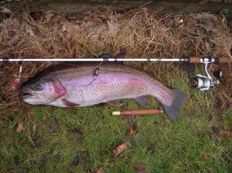 - Det er sådanne fisk der er interessante at udfordre