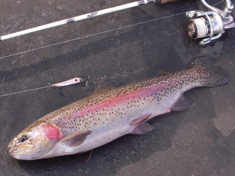 - Evner man ikke at lokke en stør til, må man vel nøjes....