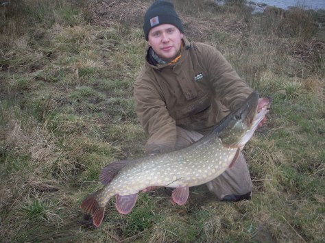 - Den / kilo tunge og fuldfede dame bliver rutineret præsenteret 