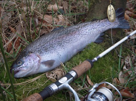 - Beskeden velkomst i 