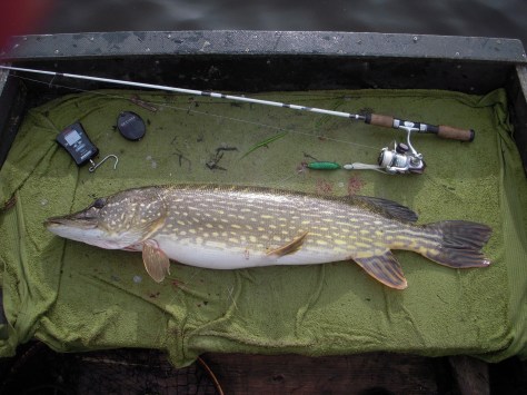 - Suveræn afslutning på en formidabel eftermiddag på søen: 94,0 cm og knapt 6 kilo