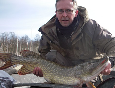 - Store gedder tager også små agn. 102 cm lang dame taget på en 7 grams Stripper Cola
