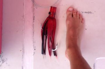 - Store agn giver ofte store fisk siges der....