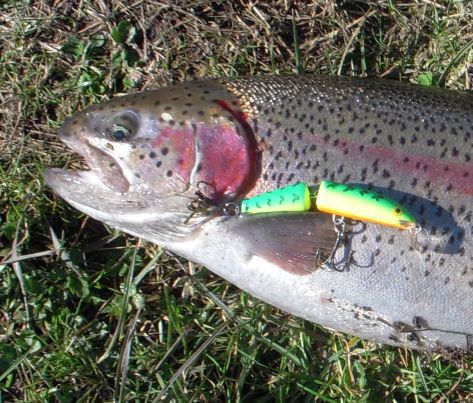 - Min første regbue huggede hårdt på Rasmus' top-effektive Firefox-wobler!