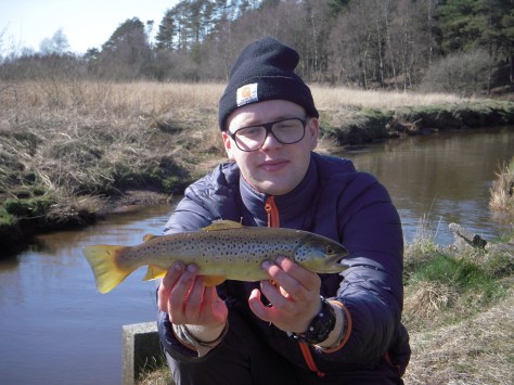 - Gylden glæde afløste drømmen om brede sorte striber...