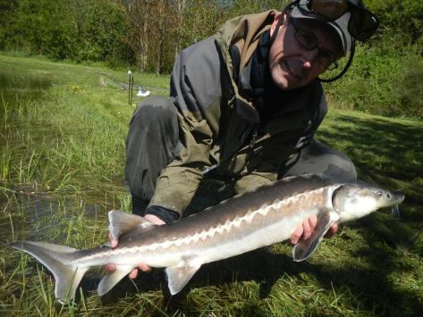 - Smukt proportioneret og ganske "jomfruelig" meters-diamant. 