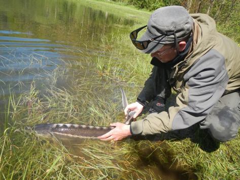 - Min første gevinst fra Roust blev en ultra smuk diamant. Lækkert! :-) 