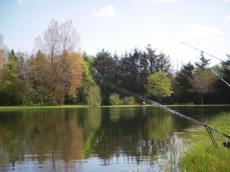 - Skal man fiske stør eller ørreder i udsøgte omgivelser, er Roust "the place to be"!