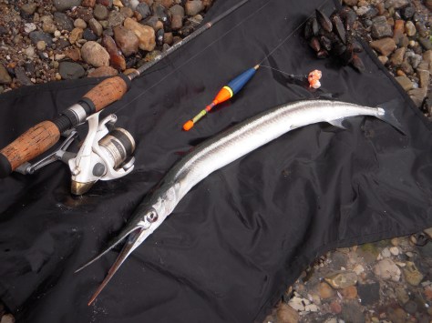 - Pyyyyha. Den var rar at få krydse af på artlisten... 