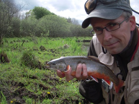 - Denne smukke røde "farisær" kastede glans over en grå majflue-start