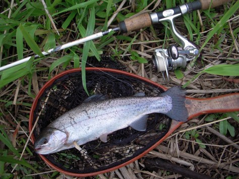 - Regnbue med gevaldigt krudt i røven....