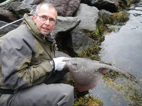 - Og smukke er da da egentligt også!, - her en flot Tærbe-rokke