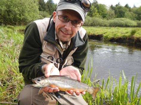 - Vandløbet gav endnu en rød udbryderkonge (brødding: 35cm)