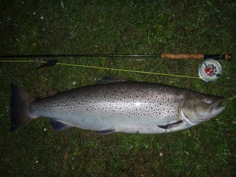 11403130_492414517579196_2760532266001783152_n