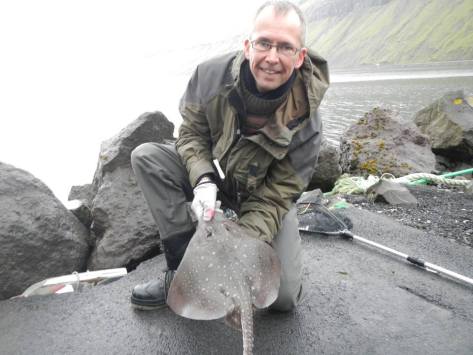 - Herlig plade! - Biologen fra Dansk Sportsfiskerforbund må opklare den præcise art.