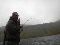 - Fightfjolleri 1....