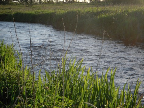 - Svært at finde "gode" dage i denne sæson. Men denne aften var OK.