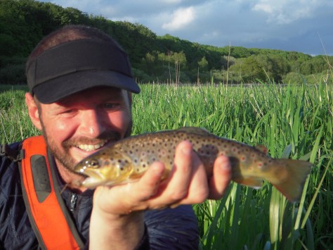 - Jari med smukt farvet bækørred