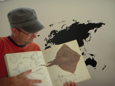 - He he - er det ikke...? Jow jow - Færø-topfisken - Sømrokken - Har fået en hel side :-)