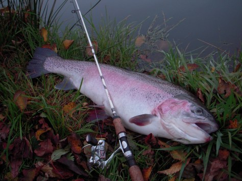 - Rusten blev banket af UL-stangen via denne volumiøse regnbue...