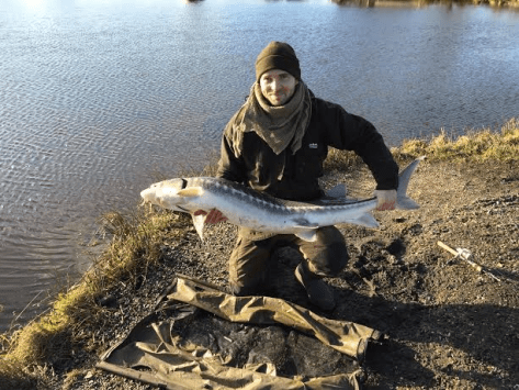 - Forrygende præstation af Jan